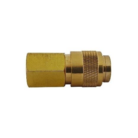 R21 tipo greitojo sujungimo lizdas su jungtimi, 9mm skersmens